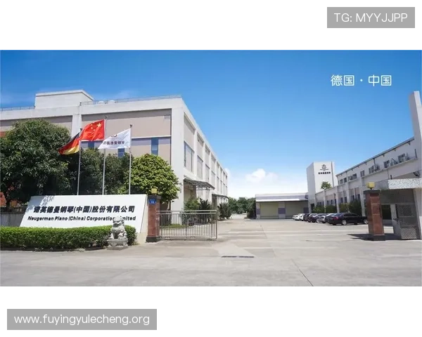 欧博正网合作方案详解，助力企业实现快速增长与市场拓展